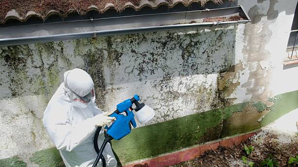 Trusted Mold Remediation service in Atlanta, GA - Cheap Mold Removal